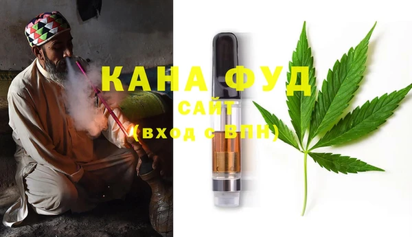 spice Михайлов