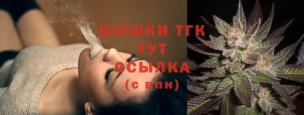 spice Михайлов