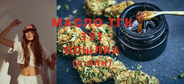 spice Михайлов