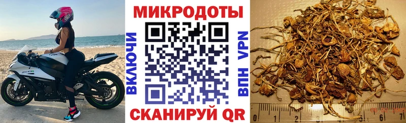 Псилоцибиновые грибы мухоморы  ссылка на мегу зеркало  Глазов  как найти закладки 