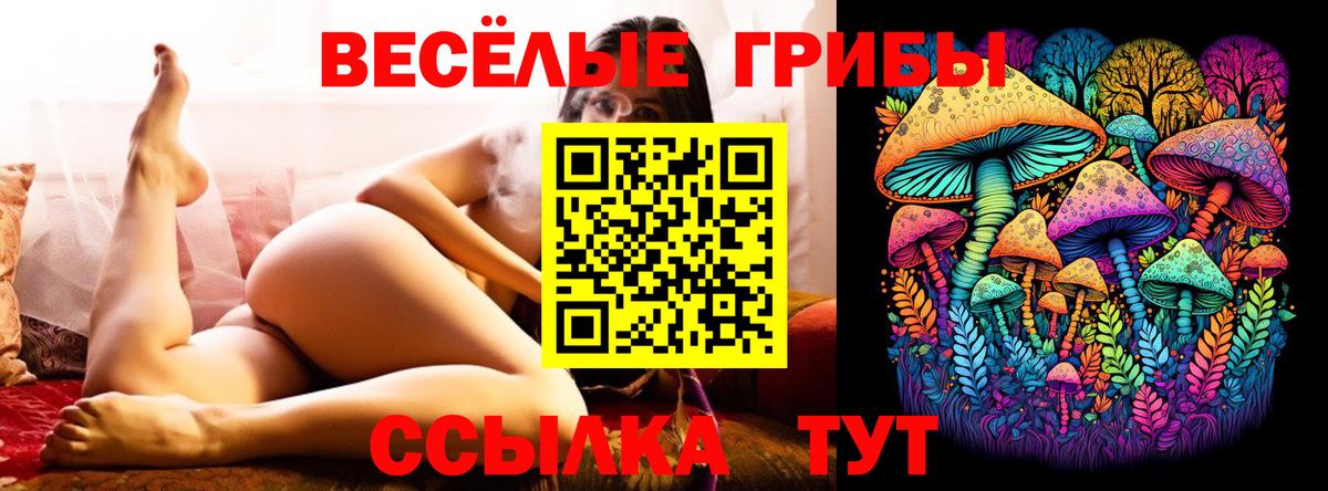 Псилоцибиновые грибы Cubensis  Галлюциногенные грибы Psilocybe  Глазов  купить наркотики сайты  Вход с VPN 